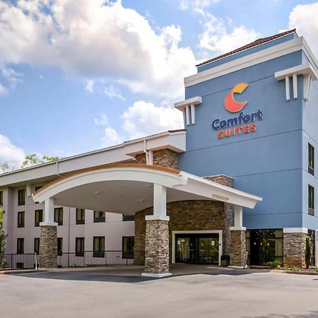 Comfort Suites At Kennesaw State University Bagian luar foto